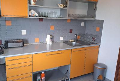 Piata Victoriei(Dr. Felix), apartament 2 camere, centrala proprie, bloc 1989 - 13