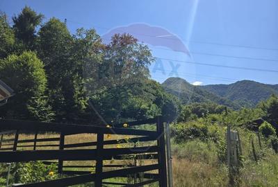 Teren 4,000mp Pascoaia / Soseaua Punctul Chiliilor - 11