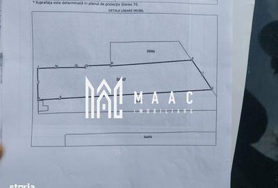Teren de 4000 mp, în Tomșani - 1