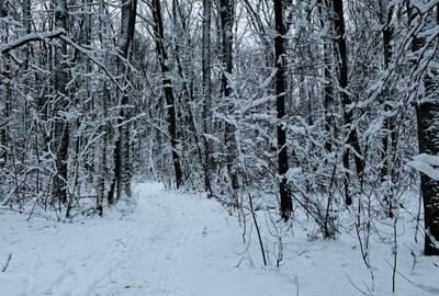 Direct Proprietar | Studio Modern in Greenfield Residence – Langa Padurea Baneas - 11