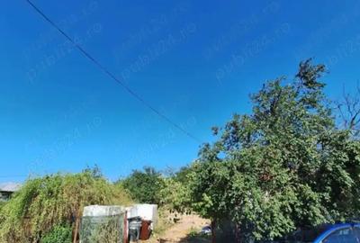 Casă cu 4 camere în Botoroaga - 7