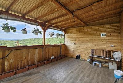 Casă cu 2 camere în Podgoria - 7