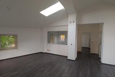 Spațiu comercial, de 300 mp, în Dacia - 2