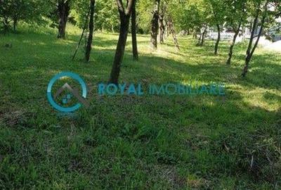 Royal Imobiliare - Vanzare Teren zona Paulesti - 4