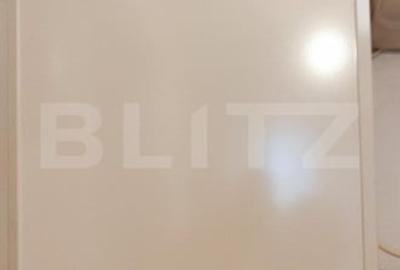 Apartament de inchiriat, 2 camere, 65 mp, zona Iosefin - 7