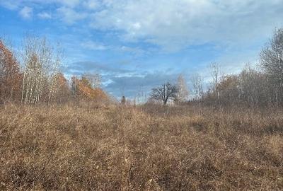 Super Ofertă! Teren Intravilan+Extravilan Gorj - 4