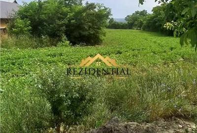 Teren Construcții intravilan de 4400 mp, în Victoria (Stăuceni) - 2