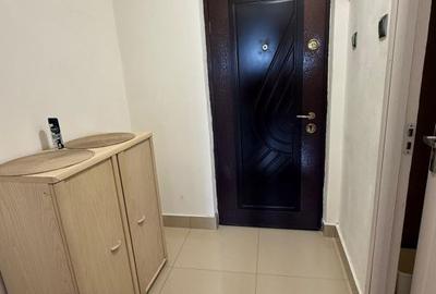 Garsonieră în Brazda lui Novac - 7