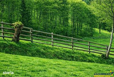 Teren de 6966 mp, în Fundata - 11