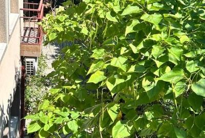 Casă individuală Buftea, 3.162 mp teren, ieșire spre lac - 31