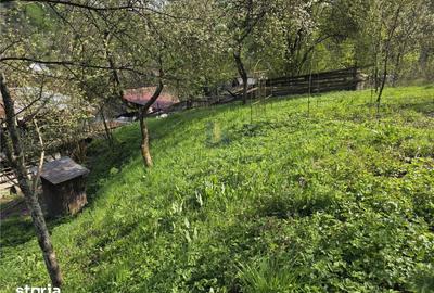 Casă cu 3 camere cu Teren 3748 Mp în Nădrag - 2
