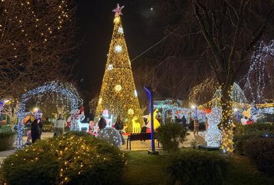 Spațiu comercial, în Tunari - 1