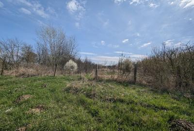 Teren intravilan Balint 22.500 mp - 4