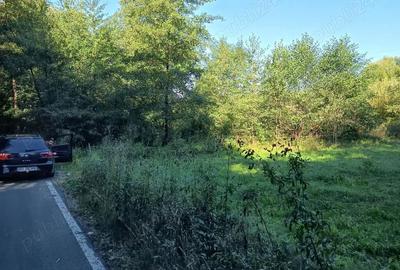 Teren în Beznea - 3