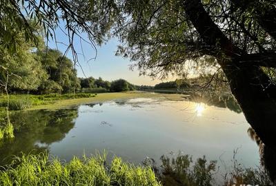 Teren de 8800 mp, în Pătlăgeanca - 2