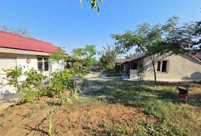 Casa si teren, situat in Sat Crucea de Piatra, comuna Calugareni, jud. Giurgiu - 19
