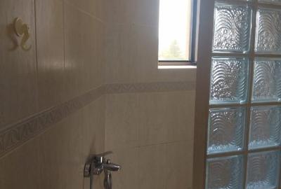 Particular, 4 camere- duplex et(2 si 3) - vila brancoveanu, str. Farului, superb - 13