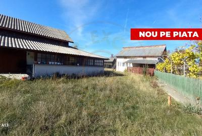 0% COMISION!!! CASA CU LAC IN INIMA PADURII  - DEALU BRADULUI - 17