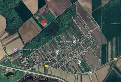 Teren intravilan 1750 m? - CLINCENI - ILFOV - 2