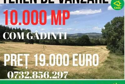 Teren de 10000 mp, în Roman