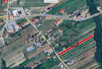 Teren de 2893 mp, în Băbana - 1