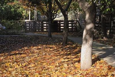 Exclusivitate! Proprietate Sendreni, zona linistita, 69.000 EUR - 20