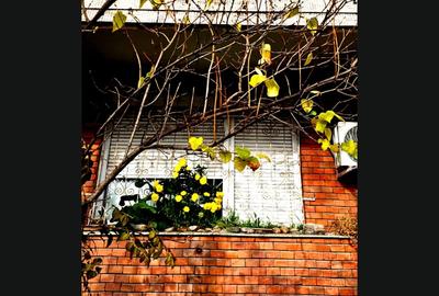 CONFORT 1 DiN CARAMIDA.Cantemir Oradea.Apart.2 camere Oradea,Cantemir,parter inalt,52 mp utili - 3