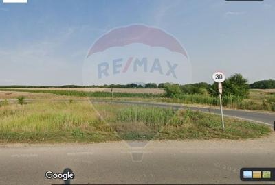 Oportunite - Gruiu Teren intravilan 4,800 mp / 100 m de A3 - 4