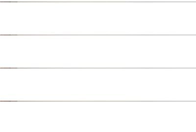 Apartament cu 2 camere semidecomandat în Florilor - 5