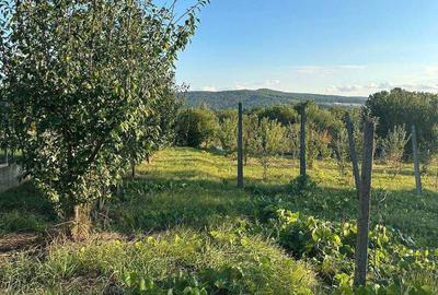 Teren de 1100 mp, în Bârnova - 9