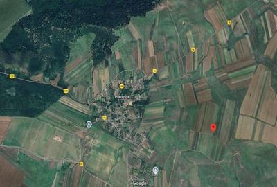 Teren de 10000 mp, în Rogova - 2