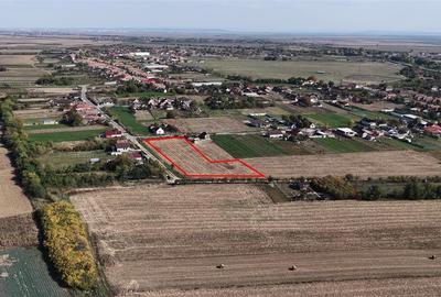 RECO Teren Cheresig 20 km de Oradea RECO Teren Cheresig 20 km de Oradea - 5