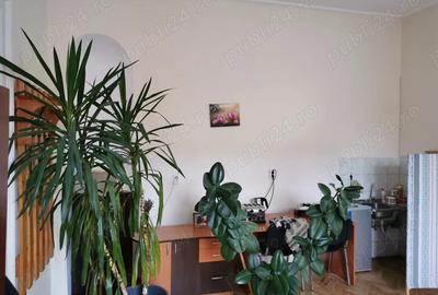 Spatiu ultracentral de birouri Str. Jean Calvin - 3