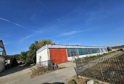 Hala industriala (1000 mp) si teren (4000 mp), Scornicesti, - 2