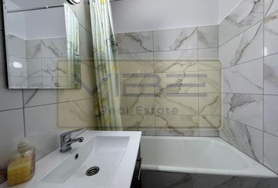 Apartament 1 camera decomandat Carrefour Felicia - 12