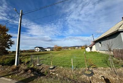 Teren de 20000 mp, în Bozânta Mare - 8