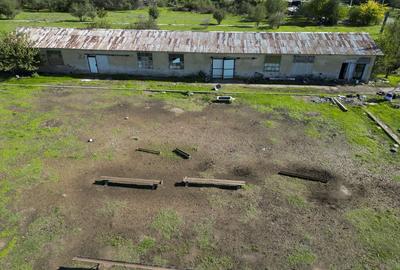 Hala de 430 mp ?i teren intravilan 2.5 ha Macea - 16