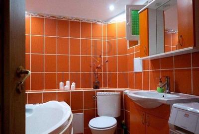 Apartament cu 2 camere semidecomandat, mobilat în Bălcescu - 6