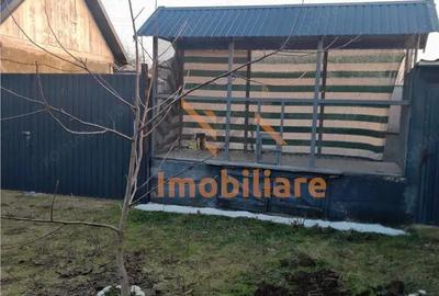 Casă cu 4 camere cu Teren 5526 Mp în Cheșa - 17