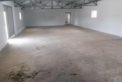 Spațiu comercial, de 550 mp, în Lunca Cetățuii