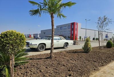 Spațiu industrial, 585 mp în Chiajna