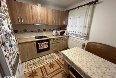 Casă cu 6 camere cu Teren 1375 Mp în Medieșu Aurit - 3