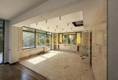 Vanzare teren 1484 mp ?oseaua Nordului ?i vila renovabila - 7