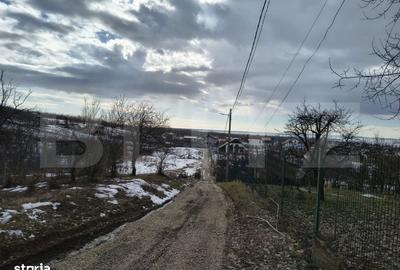 Spațiu comercial, în Găgeni - 4