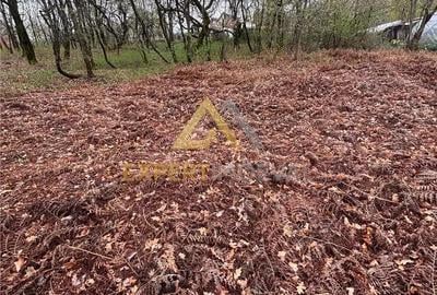 Teren de 1000 mp, în Groși - 9