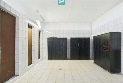 Hale 1800 mp fiecare – acces autostradă, Teiu, HD - 8