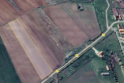 Teren de 13106 mp, în Bencecu de Sus - 5