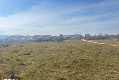 Teren de 1000 mp, în Central