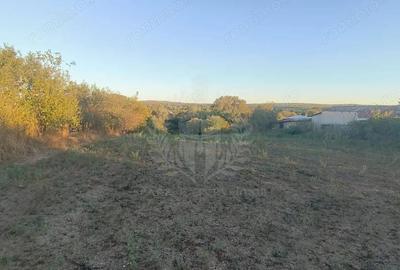 Teren de 3017 mp, în Plopu - 6