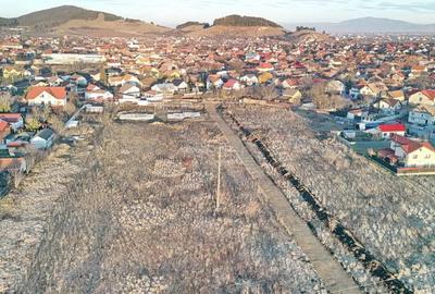 Teren de 19000 mp, în Sânpetru - 14